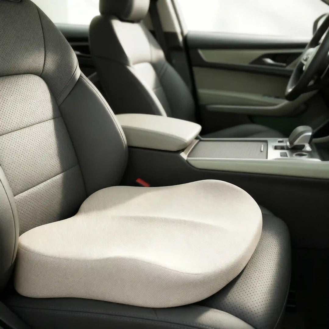 REHAUSSEUR_DANS UNE VOITURE